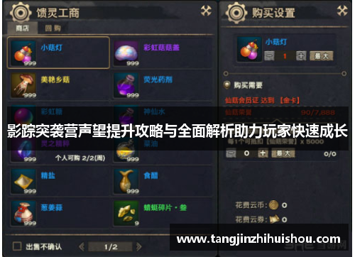 影踪突袭营声望提升攻略与全面解析助力玩家快速成长